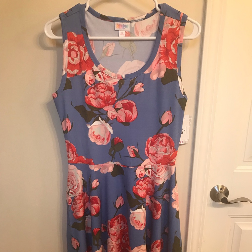 Lularoe medium Nicki